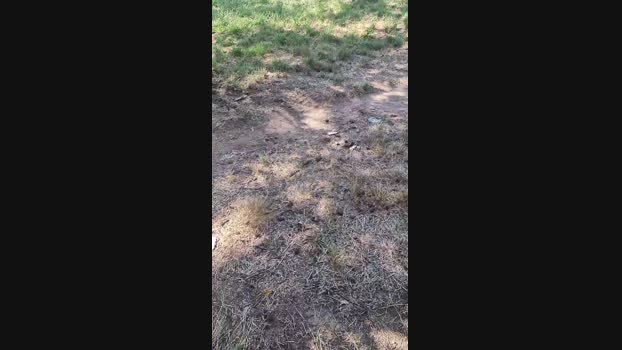 Outdoorgeil1 Cam4 07-09-2024 Males