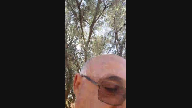 calvinsumiso Cam4 07-09-2024 Males