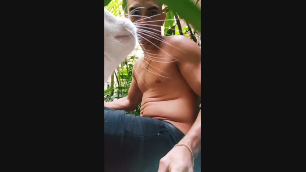 Sexylatinogay Cam4 09-09-2024 Males