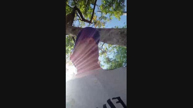 Bartisam Cam4 10-09-2024 Males