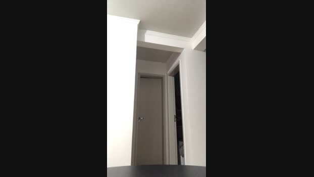 Pedrobarboza01 Cam4 10-09-2024 Males