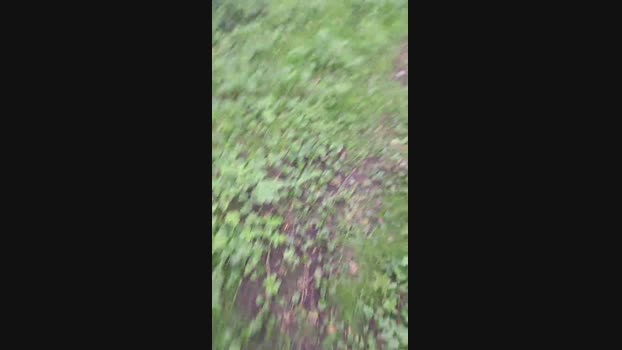 hotbody18y Cam4 09-09-2024 Males