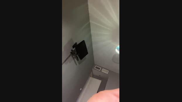 Pollon29_cm Cam4 11-09-2024 Males