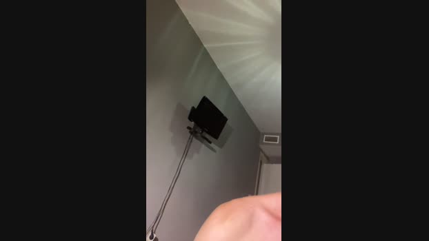 Pollon29_cm Cam4 11-09-2024 Males