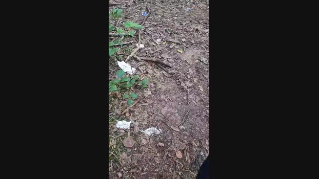 Outdoorgeil1 Cam4 17-09-2024 Males