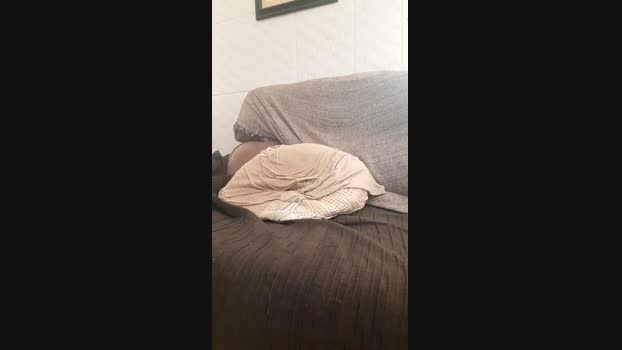 recoblue22cm Cam4 17-09-2024 Males