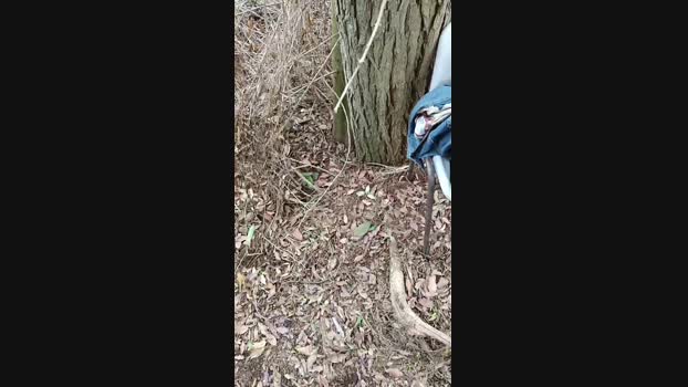 Leo_Hardyman Cam4 18-09-2024 Males