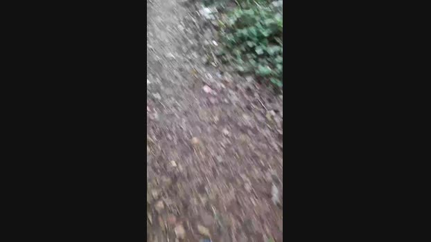 Outdoorgeil1 Cam4 20-09-2024 Males