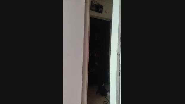 abcd34 Cam4 21-09-2024 Males