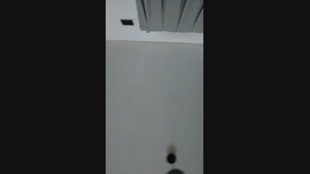 Telapong Cam4 22-09-2024 Males