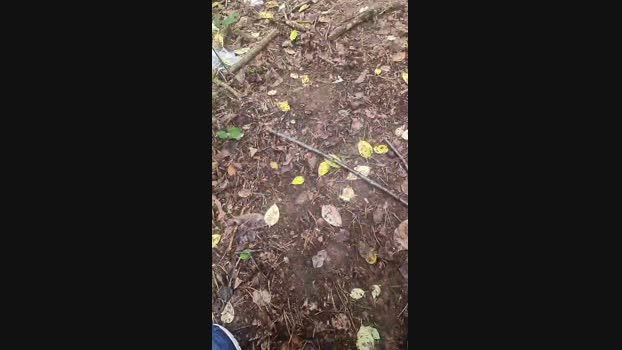Outdoorgeil1 Cam4 24-09-2024 Males