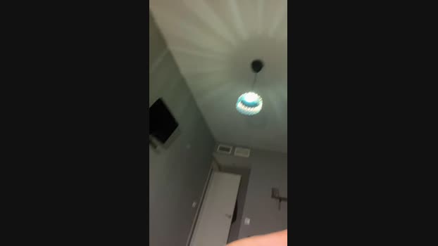 Pollon29_cm Cam4 23-09-2024 Males
