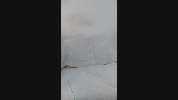 Alemaoedu37 Cam4 27-09-2024 Males