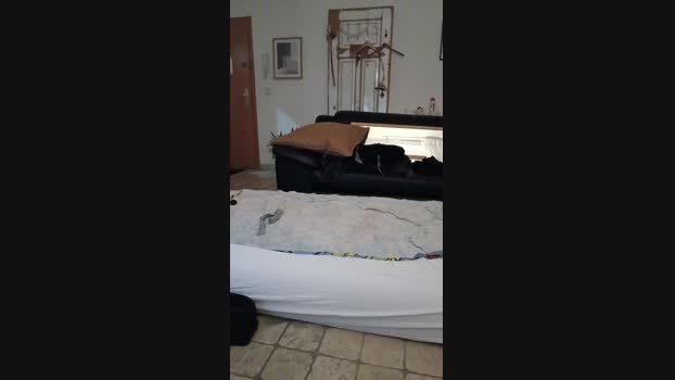 jeans_boy Cam4 27-09-2024 Males