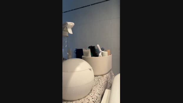 TorodamontaXXL Cam4 29-09-2024 Males