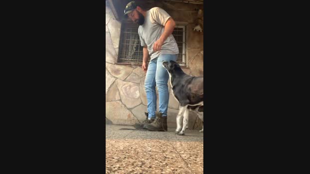 Elpeladoxxx3 Cam4 30-09-2024 Males