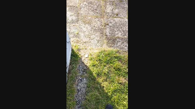 uzun Cam4 30-09-2024 Males