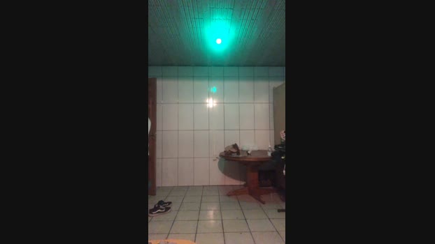 Brandodionisio7 Cam4 01-10-2024 Males