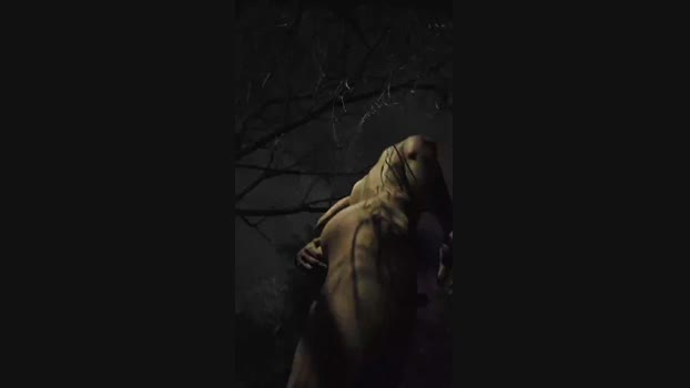 man546 Cam4 01-10-2024 Males