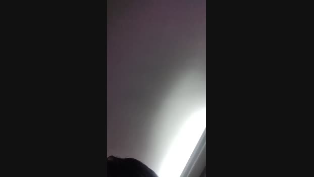 Quackdonald Cam4 02-10-2024 Males
