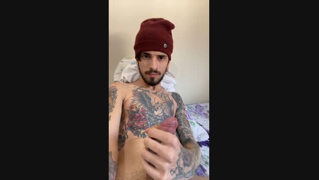 Zanella1998 Cam4 01-10-2024 Males