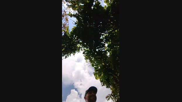 Sexylatinogay Cam4 02-10-2024 Males