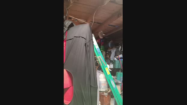 thompson3 Cam4 02-10-2024 Males