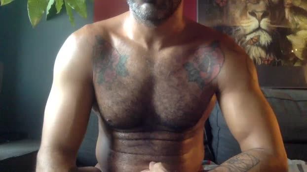 SoloAssPlayer Cam4 05-10-2024 Males