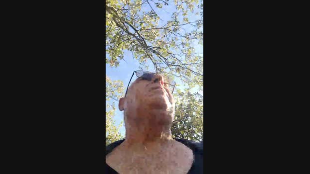 calvinsumiso Cam4 05-10-2024 Males