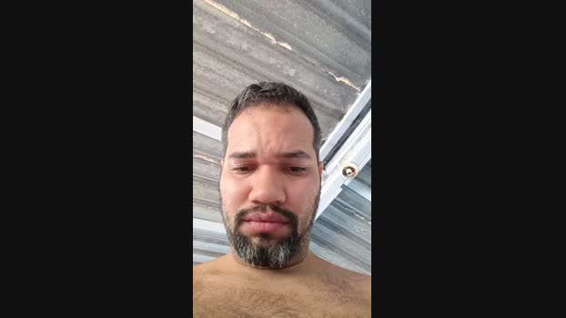 Barbedo423 Cam4 06-10-2024 Males