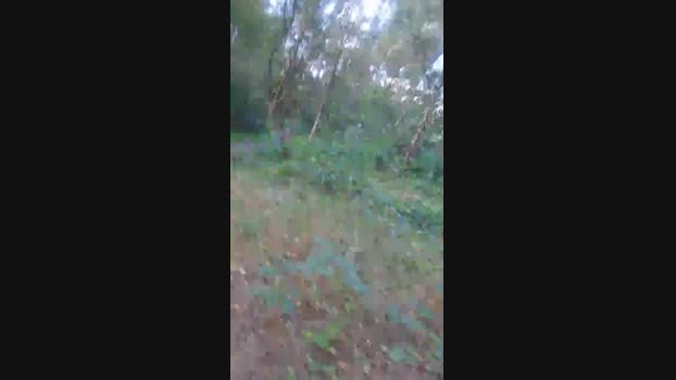 needitt2 Cam4 06-10-2024 Males