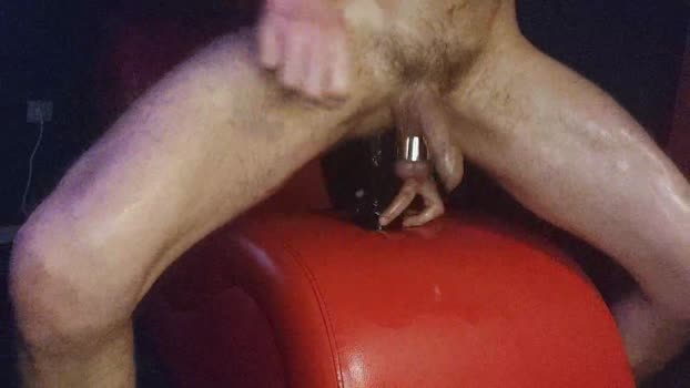 SenseLsS Cam4 08-10-2024 Males