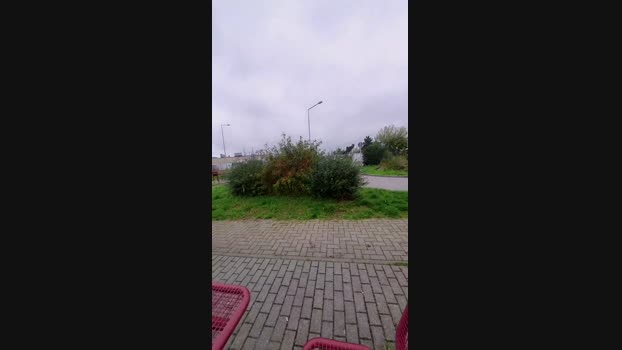 SlutboyBen Cam4 10-10-2024 Males