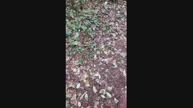 Outdoorgeil1 Cam4 13-10-2024 Males