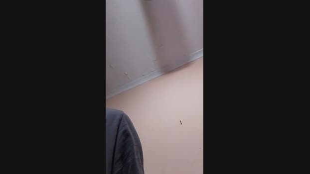 badeen Cam4 13-10-2024 Males