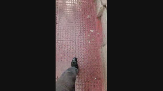 man546 Cam4 12-10-2024 Males