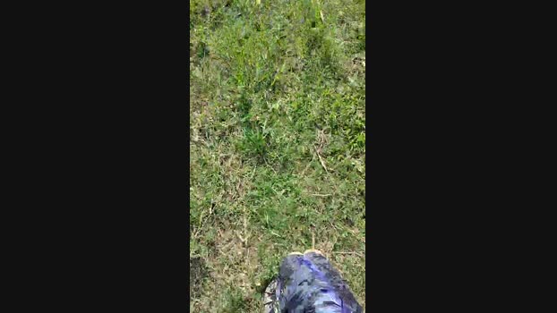 paperman_tp Cam4 13-10-2024 Males