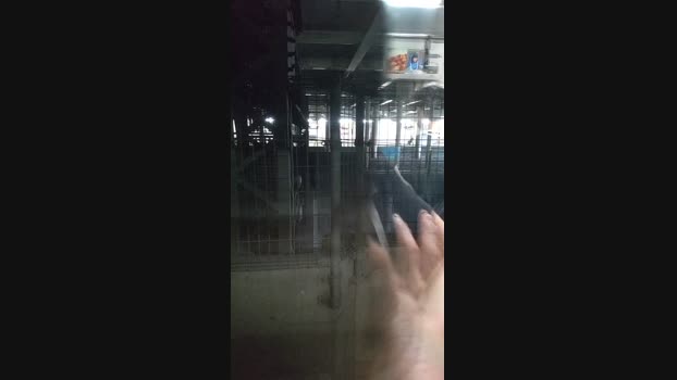tokyo1130021kaz Cam4 13-10-2024 Males