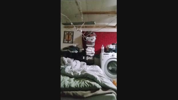 tigger1 Cam4 16-10-2024 Males