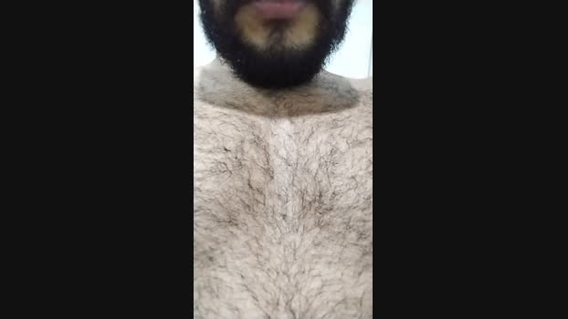 Spiderfindom Cam4 17-10-2024 Males
