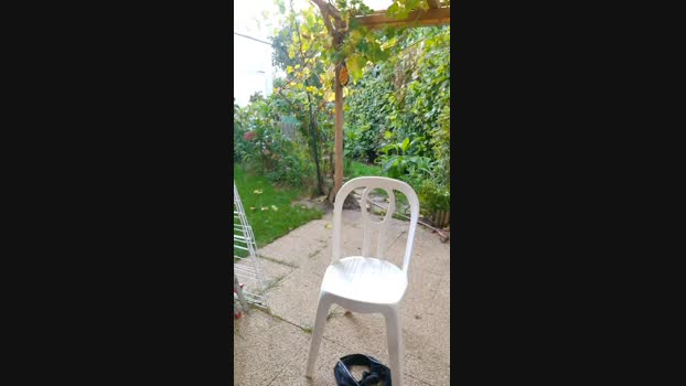 tomsauwer Cam4 18-10-2024 Males