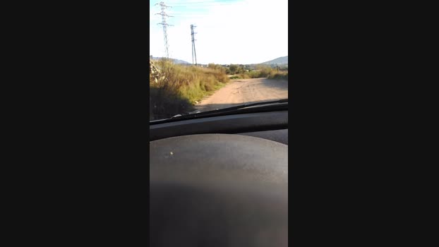 Arturito Cam4 20-10-2024 Males