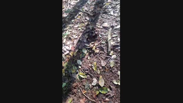 Outdoorgeil1 Cam4 21-10-2024 Males