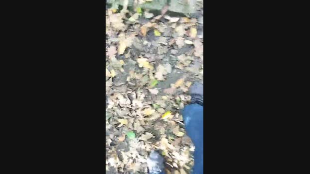 uzun Cam4 25-10-2024 Males