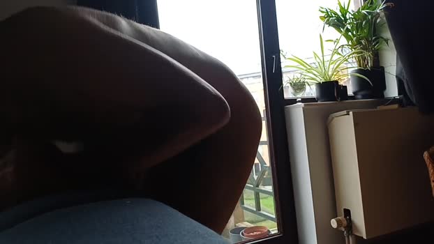 bleuroy legs Webcam SHOW @ Cam4 28-10-2024