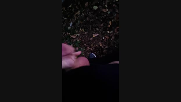Outdoorgeil1 moan Webcam SHOW @ Cam4 28-10-2024