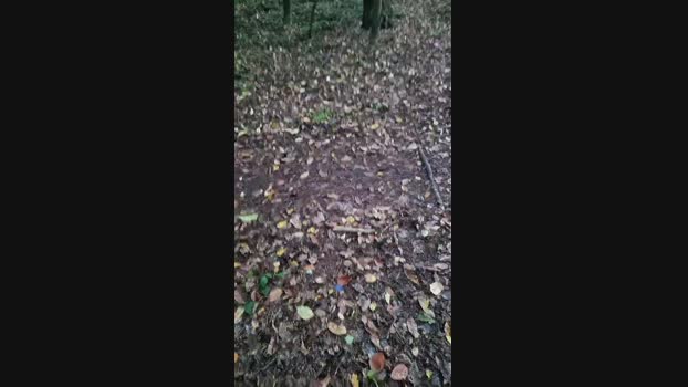 Outdoorgeil1 gay Webcam SHOW @ Cam4 28-10-2024