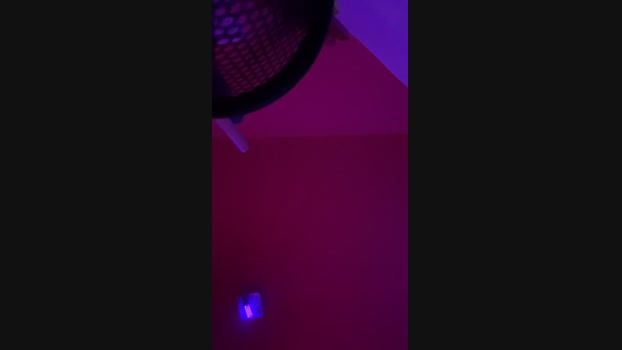 lorenzzo_x Video Webcam SHOW @ Cam4 29-10-2024