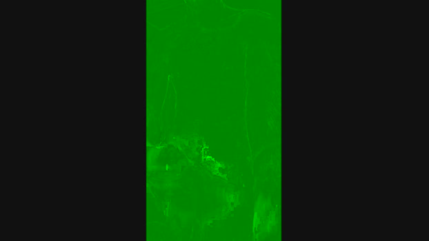 Roll20 legs Webcam SHOW @ Cam4 31-10-2024