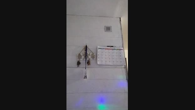 D0N_MIRON strip Webcam SHOW @ Cam4 02-11-2024